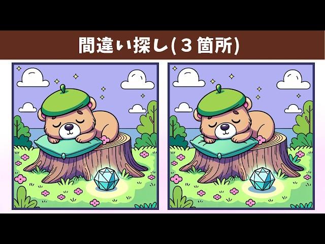 Find 3 Differences | Illustration Version #1725