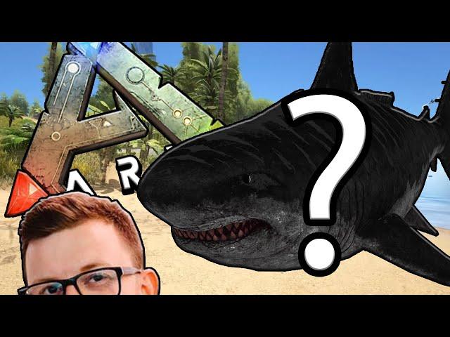 Come here Megalodon with Daz Games & BitMoreDave