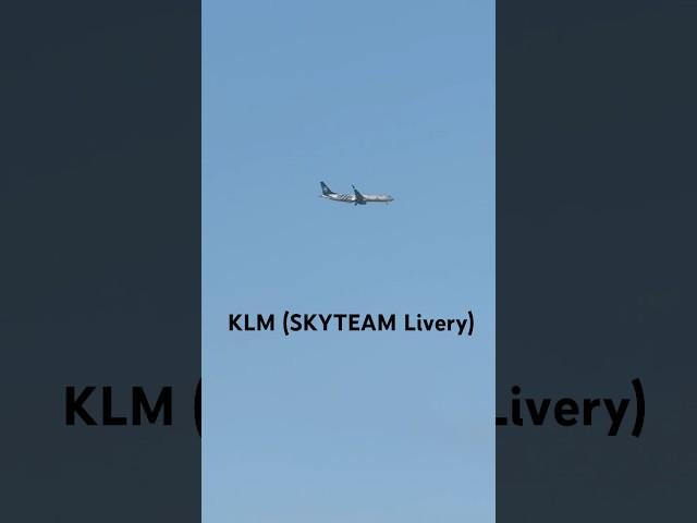 KLM (SKYTEAM Livery) B737-9K2  #klmroyaldutchairlines #b737 #airliner #avgeek #aviation #shorts