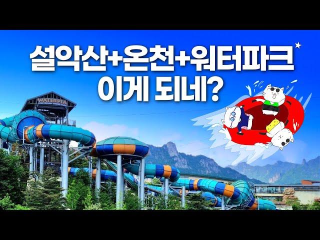 온천 워터파크? 넘사벽이네요 - 설악 워터피아 무료입장부터 이용꿀팁까지 완벽정리