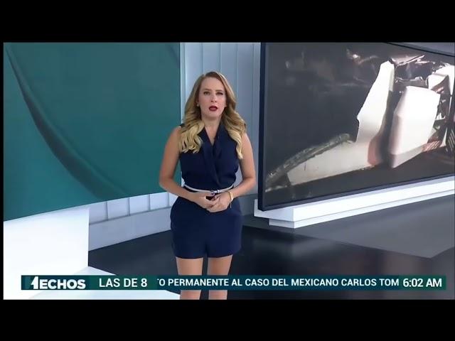 Guapísima linda excelente conductora y periodista Andreina Andrade