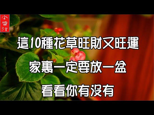 【花草風水】10種花草旺財又旺運，家裡至少要放一盆。看看你有沒有？