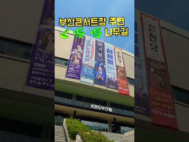 모두에게 다 아름다운 지현! 박지현, 우리는 된다니까! 1등 노래 감상, 부산 콘서트 #박지현 #부산콘서트 #1등 #노래 #감동 #응원