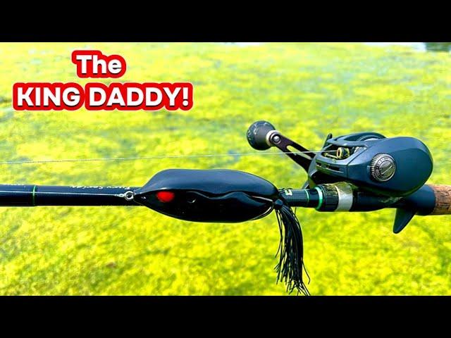 MONSTER topwater frog fishing! (Spro King Daddy)