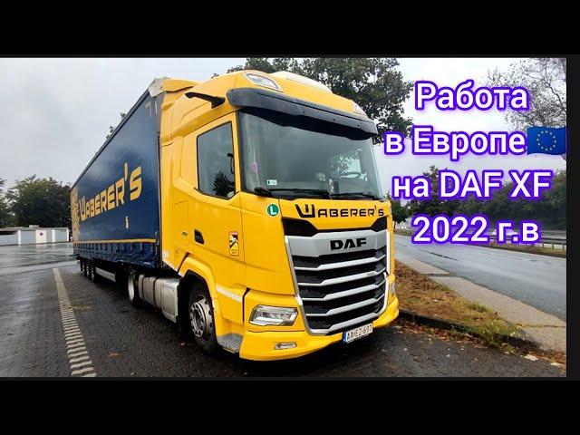 Новый DAF XF 480 КОРОЛЬ ДОРОГ или кот в мешке? #дальнобой