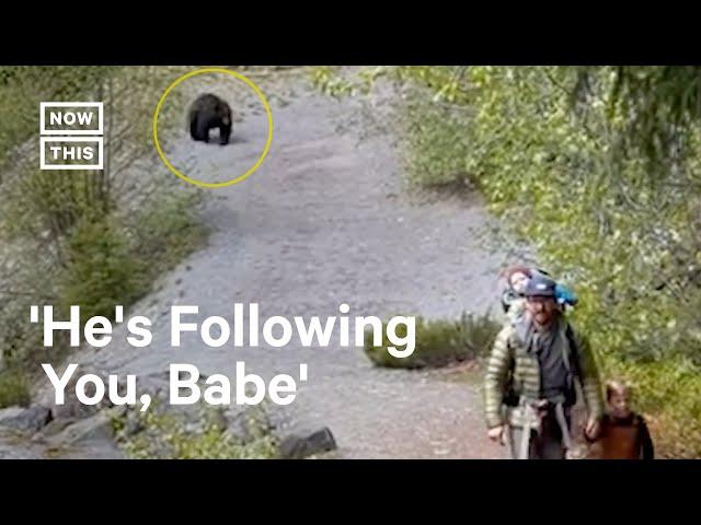 Bear Stalks Family Along Hiking Trail 