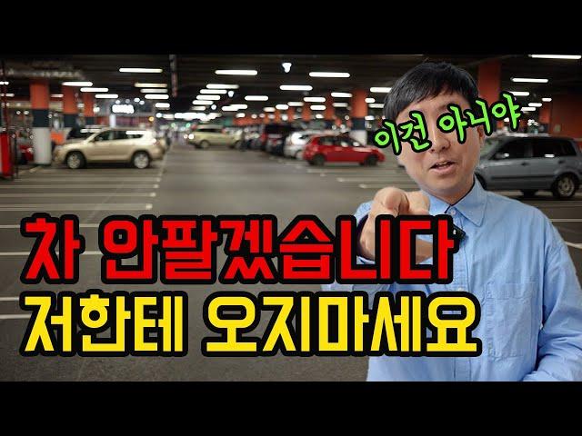 지금 중고차 살 때 아닙니다