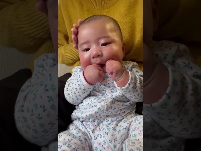 【まもなく４ヶ月ベイビー】お座り練習してみた #baby #music #かわいい