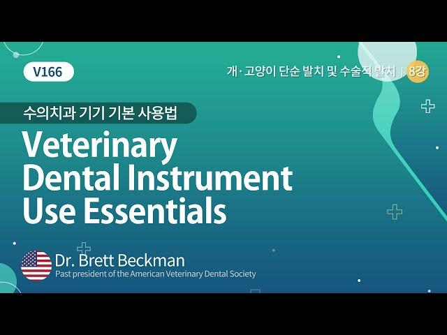 [베터플릭스][수의치과 발치] 수의치과 기기 기본 사용법(Veterinary Dental Instrument Use Essentials)