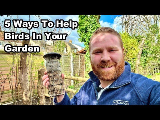 How To Help BIRDS In YOUR GARDEN This SPRING