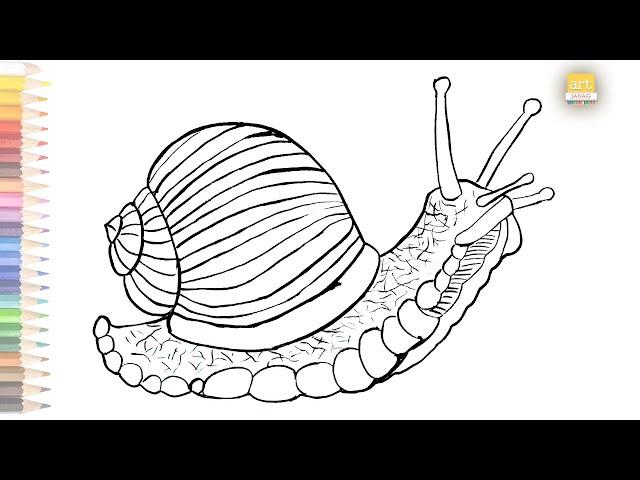 Snail outline drawing 01 / How to draw Snail drawing / #artjanag