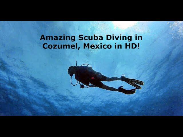 Amazing Cozumel Scuba Diving  2019 in HD.  Some of the Best Scuba Diving in the World!