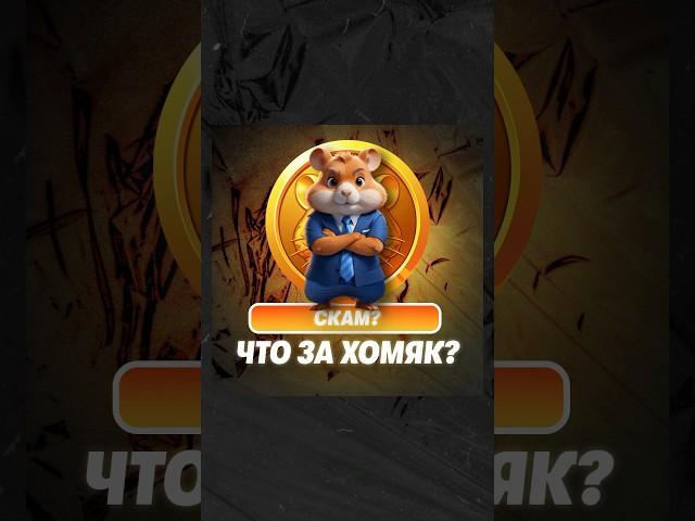 А вы играете? Хомяки это СКАМ?  #хомяк #хамстер #hamster #игры  #техноблог