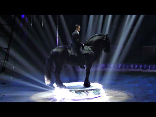 Circus KNIE - Friesian Horses- 44th Circus Festival of Monte-Carlo 2020 - Golden Clown