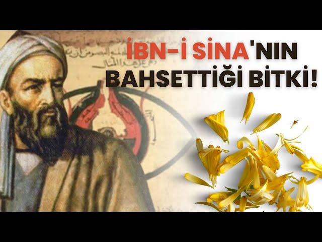 İbn-i Sina’nın Bahsettiği Bitki! #ModernAktar