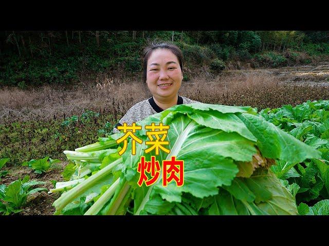 媳妇做一道家常菜，芥菜炒肉，家人吃得津津有味