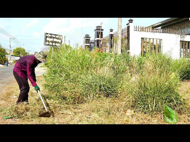 Solo Cleanup: Watch Mr. Quy Transform the Neglected Sidewalk!