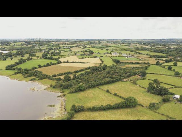 St. John's Native Woodland Trust Reserve in Lecarrow - proudly supporting Climate Action Roscommon.