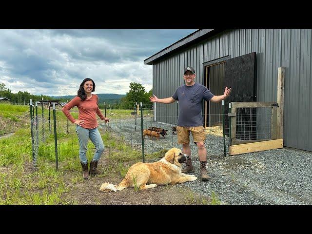 Time to SEE If We've Been LIED To... Getting Our Pigs Outside for the 1st TIME