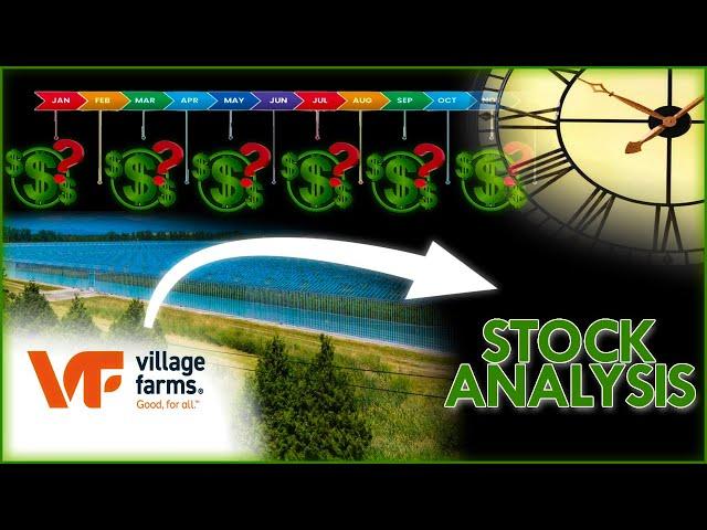 VFF Stock Analysis - A Race Against Time For Shareholders