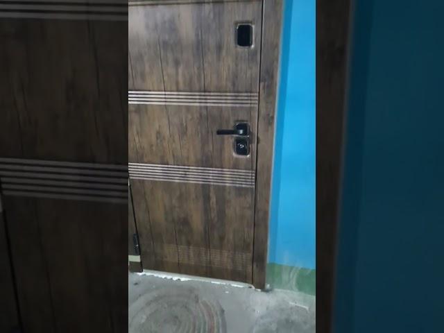 Входная дверь с зеркалом для квартиры