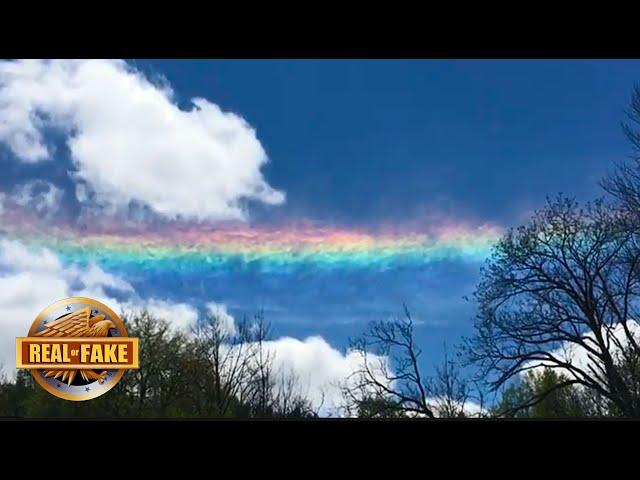 Real or Fake? Straight Rainbow & More