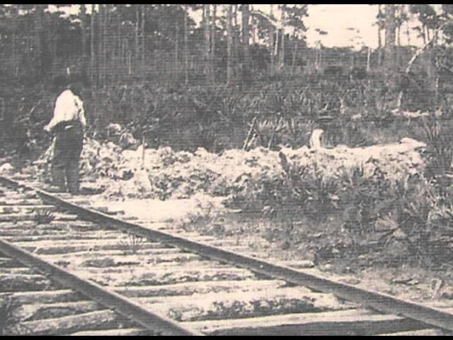 Sarasota County History Center Marker Minute - Turpentine Industry