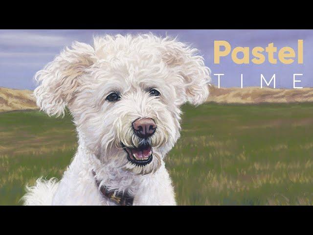 Artie the Bichon Frisé in Soft Pastel - Timelapse