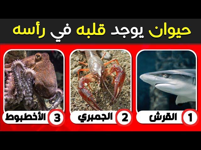 اسئلة والغاز ثقافية متنوعة مسلية  اختبر معلوماتك الثقافية | ألغاز للاذكياء