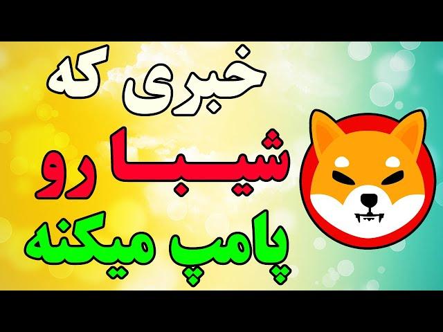 راه اندازی بلاکچین اختصاصی ارز دیجیتال شیبا اینو - لیست شدن ارز دیجیتال شیبا اینو در رابن هود