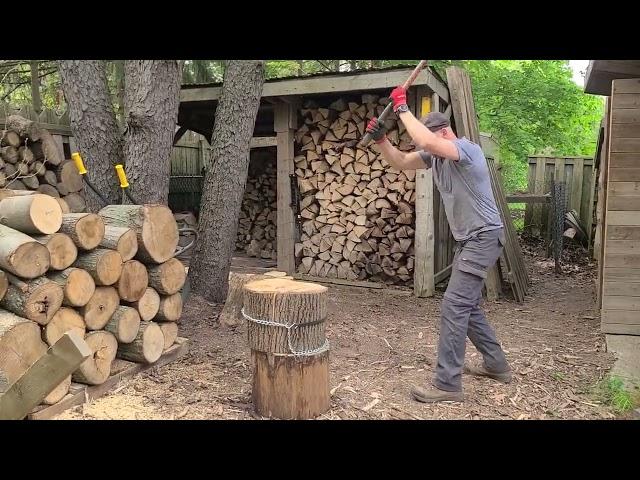 Splitting wood and saving time with chain and bungee.