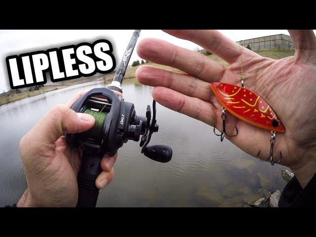 Spring Pond Fishing with a Cotton Cordell Lipless Crankbait