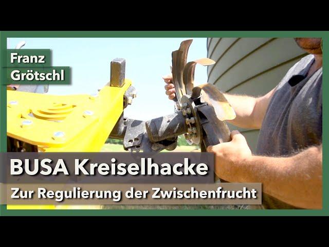 BUSA Kreiselhacke zur Zwischenfrucht-Regulierung (Strip-Till) | Franz Grötschl | Interview 6 | 2021