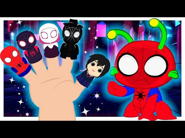 Familia dedo SPIDERMAN! | Canciones Infantiles | Groovy el Marciano