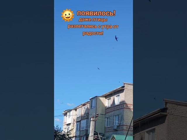 Погода классная