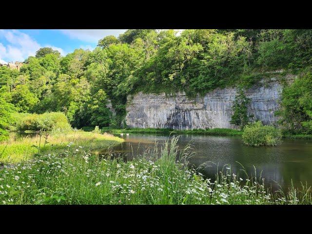 Fantastic Peak District Walk | Tideswell Dale, Monsal Head Viaduct, Cressbrook, and Litton Mill