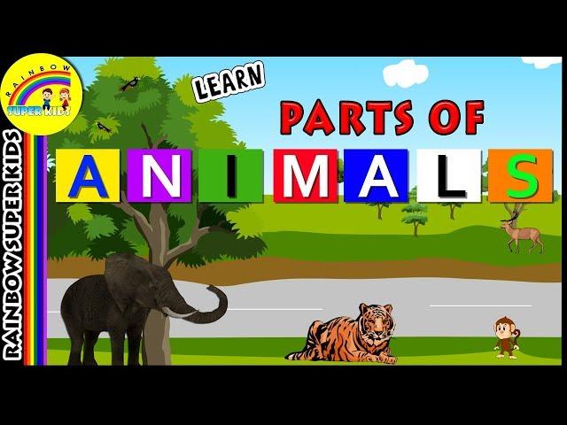 Learn Animal Body Parts -  Elephant Body Parts - Wild Animals