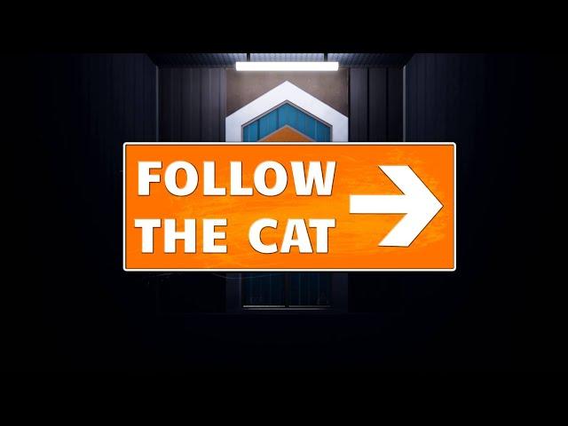 Follow The Cat - Gameplay