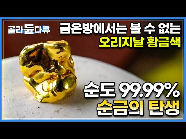 금은방에서도 볼 수 없는 천연 금덩이, 순도 99.99% 순금의 탄생!ㅣ폭약 설치와 발파까지 어둡고 긴 갱도를 보수해 가며 황금빛 금맥을 찾으러 다니는 사람들ㅣ극한직업ㅣ#골라듄다큐