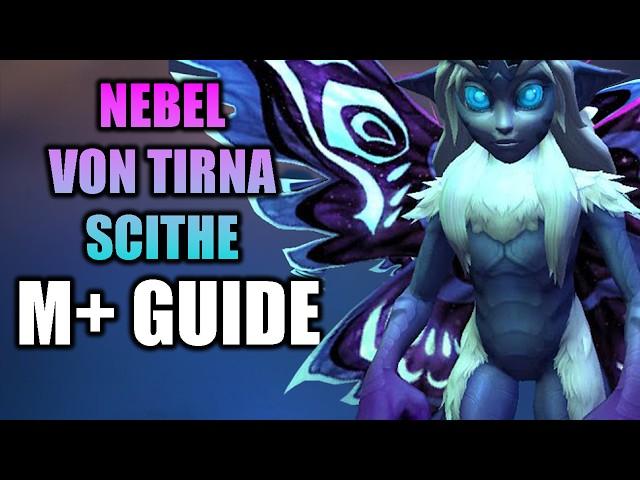 NEBEL VON TIRNA SCITHEM+ GUIDE | THE WAR WITHIN SEASON 1 | BROKKEN