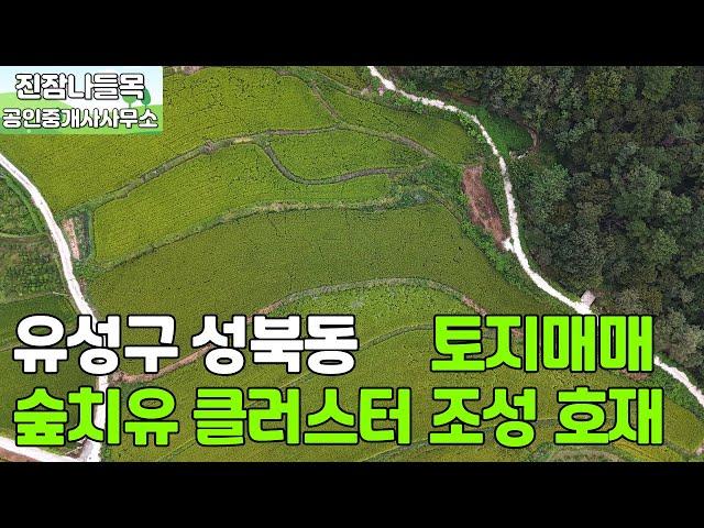 대전 유성구 성북동 토지 매매 | 농로에 접해있는 넓은 면적의 성북동 토지 매매(매매가: 8억 6,200만원)