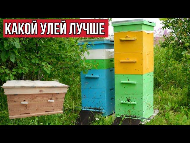 КАКОЙ УЛЕЙ ЛУЧШЕ?