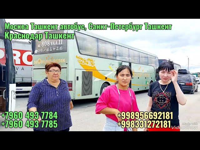 Moskva Tashkent avtobus | Москва-Ташкент автобус 2024