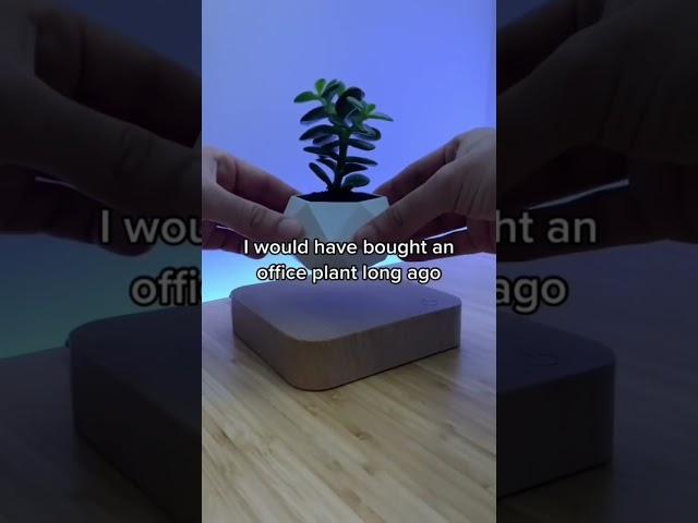 Floating plant pot !!! #gadgets  #tech #plants #magic #coolgadgets