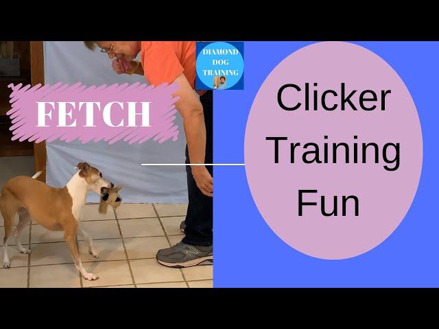 Clicker Training Fun To Teach Fetch