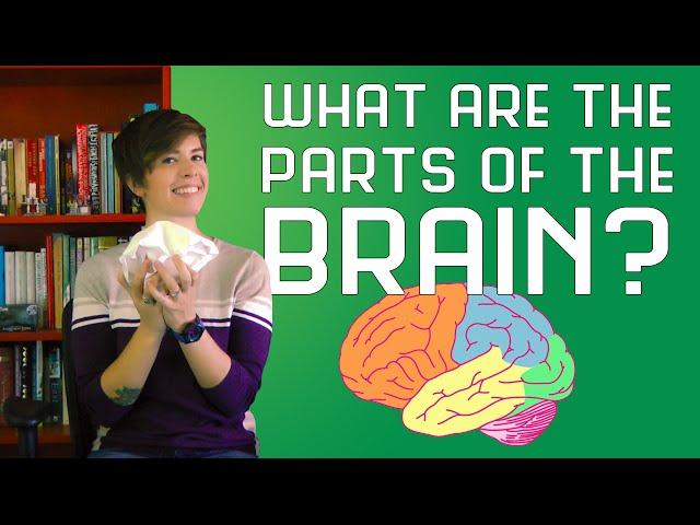 What are the Parts of the Brain?