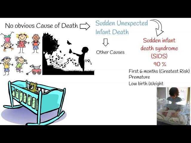 Sudden infant death syndrome (SIDS) and Sudden unexpected infant death