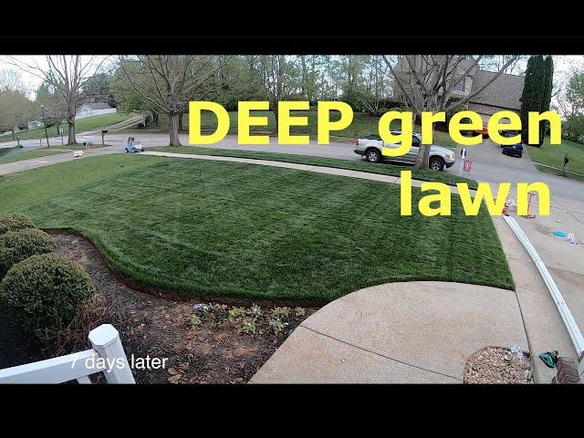 Get your lawn ready for guests | DEEP green in days