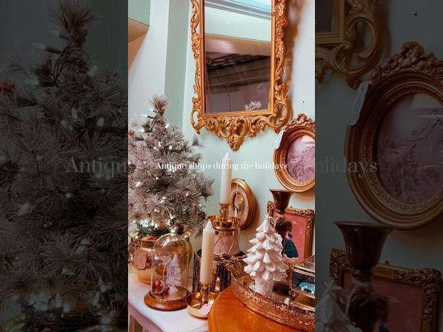 Antique shops during the holidays just hit different #placestoexplore #antiqueshop #antique