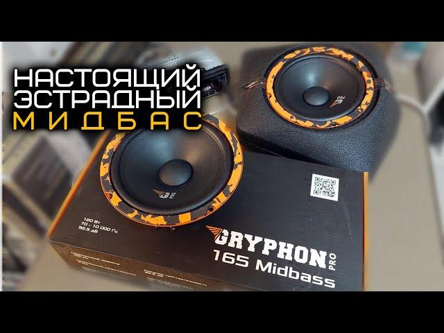 НАСТОЯЩИЙ ЭСТРАДНЫЙ МИДБАС DL AUDIO GRYPHON PRO 165 MIDBASS | ПРОСЛУШКА